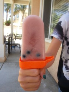 berry popsicle