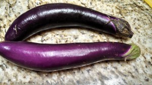 chinese eggplant 2